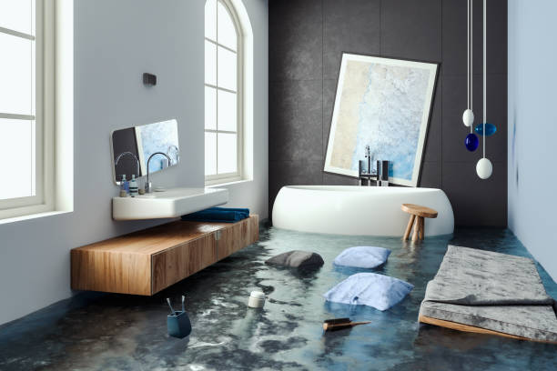 Best Flooded house restoration  in Stonecrest, GA