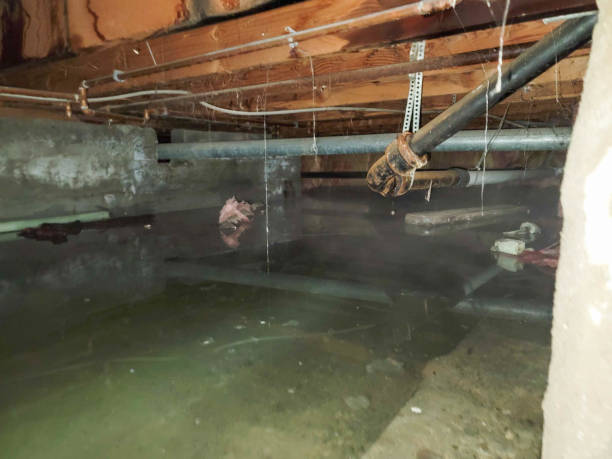 Best Water damage restoration near me  in Stonecrest, GA