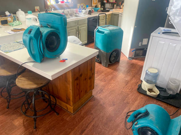Best Sewage cleanup and water damage restoration  in Stonecrest, GA