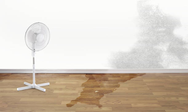Best Water damage cleanup near me  in Stonecrest, GA