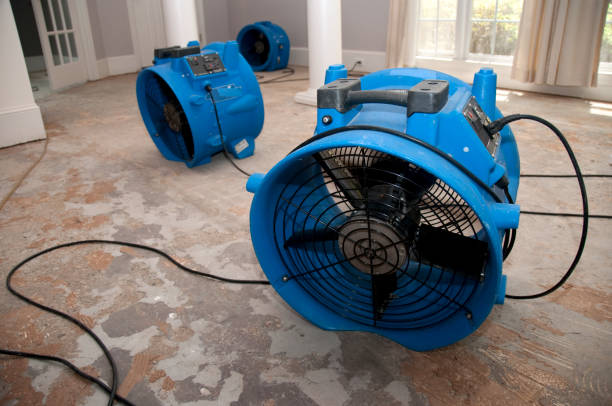 Best Water damage restoration company  in Stonecrest, GA