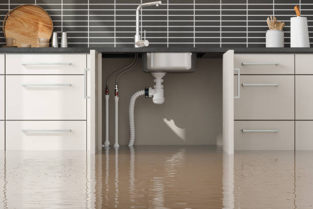 Best Ceiling water damage repair  in Stonecrest, GA