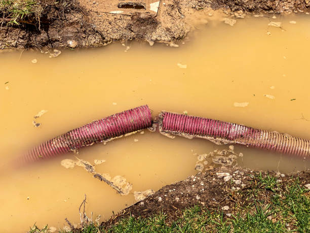 Best Flood restoration services  in Stonecrest, GA