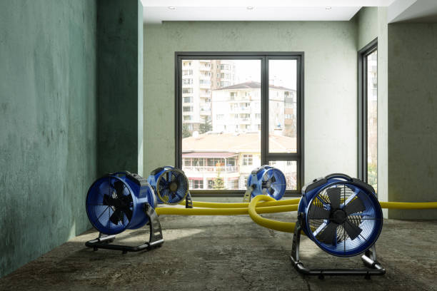 Best Professional water damage repair  in Stonecrest, GA