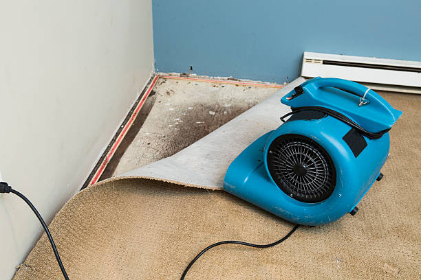 Best Water damage restoration process  in Stonecrest, GA
